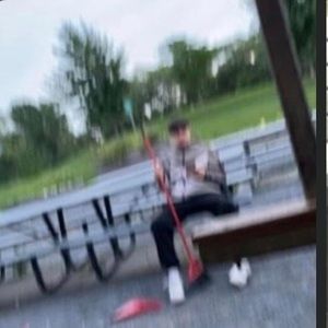 Meet your Posher, Alan